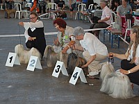 DSC_4191.jpg DSC_4191.jpg