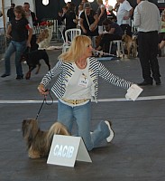 DSC_4200.jpg DSC_4200.jpg