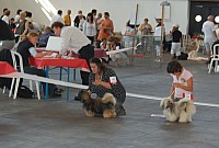 DSC_4201.jpg DSC_4201.jpg