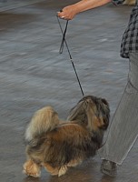 DSC_4205.jpg DSC_4205.jpg