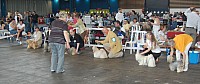 DSC_4207.jpg DSC_4207.jpg