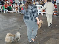 DSC_4211.jpg DSC_4211.jpg