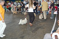 DSC_4213.jpg DSC_4213.jpg