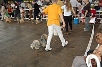 DSC_4214.jpg DSC_4214.jpg