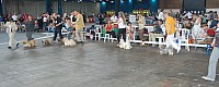 DSC_4215.jpg DSC_4215.jpg