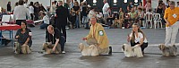 DSC_4217.jpg DSC_4217.jpg