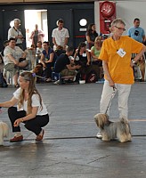 DSC_4245.jpg DSC_4245.jpg