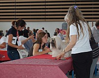 DSC_4250.jpg DSC_4250.jpg