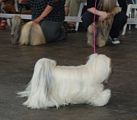 DSC_4253.jpg DSC_4253.jpg