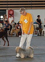 DSC_4254.jpg DSC_4254.jpg