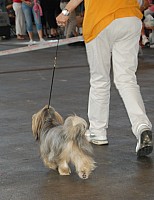 DSC_4257.jpg DSC_4257.jpg