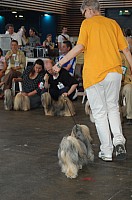 DSC_4258.jpg DSC_4258.jpg