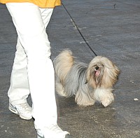 DSC_4263.jpg DSC_4263.jpg