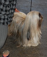 DSC_4266.jpg DSC_4266.jpg