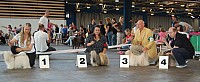 DSC_4273.jpg DSC_4273.jpg