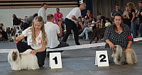 DSC_4274.jpg DSC_4274.jpg