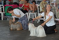 DSC_4277.jpg DSC_4277.jpg