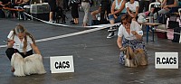 DSC_4282.jpg DSC_4282.jpg