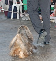DSC_4293.jpg DSC_4293.jpg