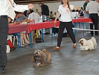 DSC_4296.jpg DSC_4296.jpg