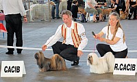 DSC_4302.jpg DSC_4302.jpg