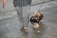 DSC_4315.jpg DSC_4315.jpg