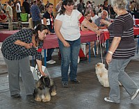 DSC_4317.jpg DSC_4317.jpg