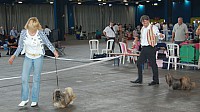 DSC_4328.jpg DSC_4328.jpg