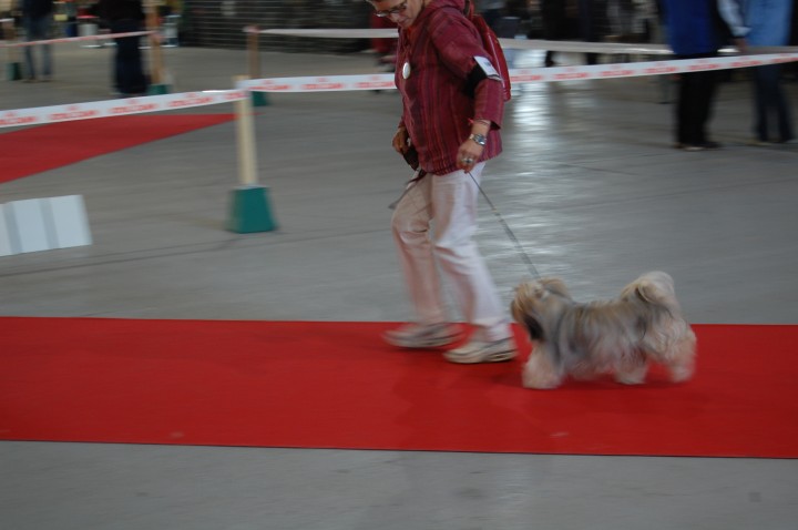 DSC_8285.jpg