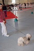 DSC_8276.jpg DSC_8276.jpg
