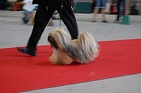 DSC_8316.jpg DSC_8316.jpg