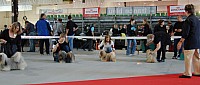 DSC_8318.jpg DSC_8318.jpg