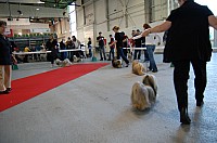DSC_8320.jpg DSC_8320.jpg