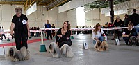 DSC_8324.jpg DSC_8324.jpg