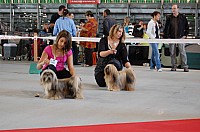 DSC_8400.jpg DSC_8400.jpg