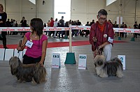 DSC_8436.jpg DSC_8436.jpg