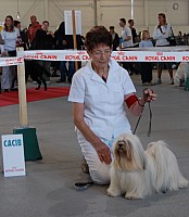 DSC_8467.jpg DSC_8467.jpg