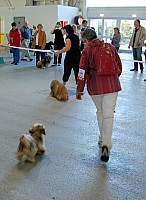 DSC_8531.jpg DSC_8531.jpg