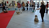 DSC_8535.jpg DSC_8535.jpg