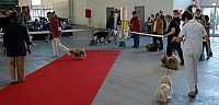 DSC_8536.jpg DSC_8536.jpg