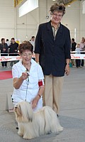 DSC_8546.jpg DSC_8546.jpg