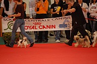 DSC_8596.jpg DSC_8596.jpg
