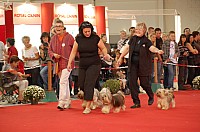 DSC_8612.jpg DSC_8612.jpg