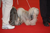 DSC_8616.jpg DSC_8616.jpg