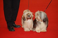 DSC_8617.jpg DSC_8617.jpg