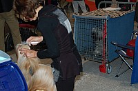 DSC_6063.jpg DSC_6063.jpg
