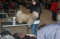 DSC_6064.jpg DSC_6064.jpg