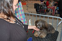 DSC_6067.jpg DSC_6067.jpg