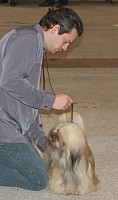 DSC_6072.jpg DSC_6072.jpg