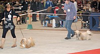 DSC_6076.jpg DSC_6076.jpg